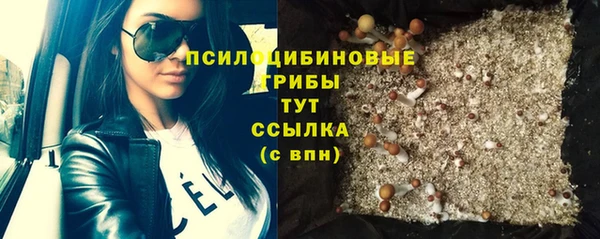 эйфоретик Балахна